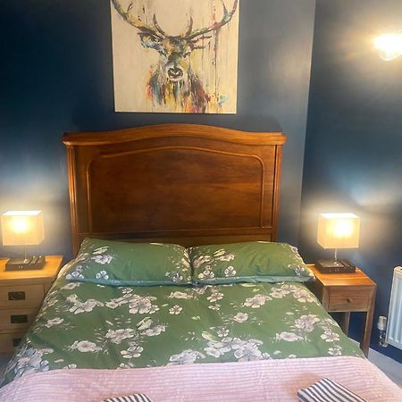 Quiet Lower Floor 2 Bed City Apartment With Private Patio Garden Bath Kültér fotó